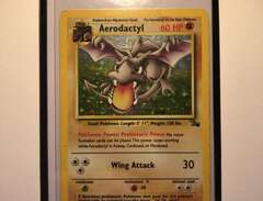 Pokémonkort Aerodactyl holo