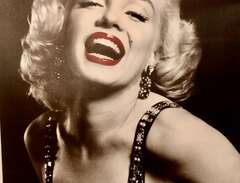 Marilyn Monroe tavla/canvas...