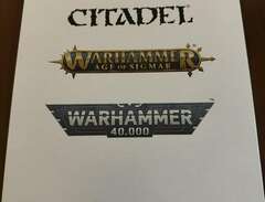 Warhammer: 2x Coven Throne...