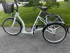 Cykel - trehjuling vuxen