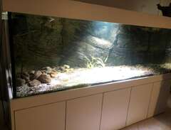 Akvarium 1100 Liter