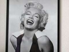 Vacker tavla Marilyn Monroe...