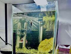Akvarium Nano 30 Liter