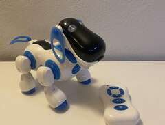 Robothund