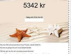 Presentkort Ticket.se