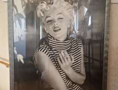 Marilyn Monroe tavlor