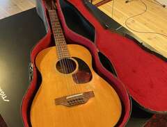 Gibson B25-12