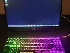 Gaming Laptop (MSI Katana 1...