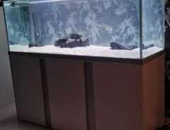 Akvastabil akvarie 576l FUSION