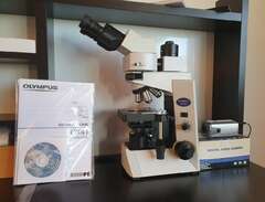 Olympus CX 41 - Mikroskop i...