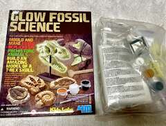 Ny Science låda "Fossiler"