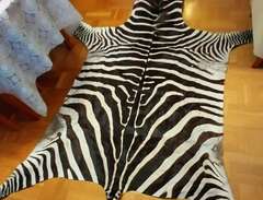 äkta zebra mattan