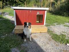 Hundkoja från Voff Sweden