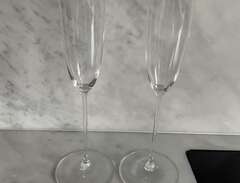 champagneglas (2 st) Riedel