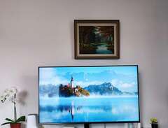LG 55" Full HD Smart TV