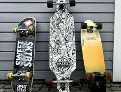 skateboard & longboard