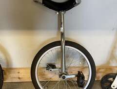 Enhjuling.