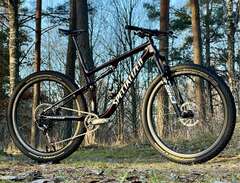 Specialized Epic Expert -21