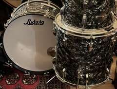 Ludwig new yorker
