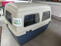 Transportbur för hund
