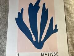 Poster Matisse 50x70 cm