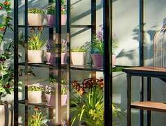 Dekorativt växthus för balk...