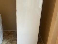Kylskåp 180x60 cm vit,