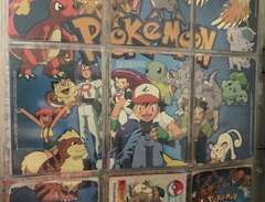Pokémon samling