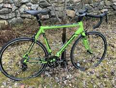 Cannondale CAAD5 med Shiman...