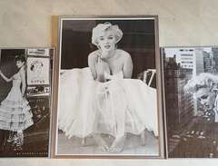 Tavlor Marilyn Monroe och B...