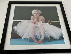 Tavla Marilyn Monroe