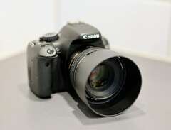 Canon EOS 550D + EF 50 F/1....