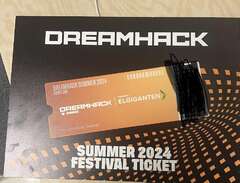 Dreamhack Summer 24: 3Dagar...