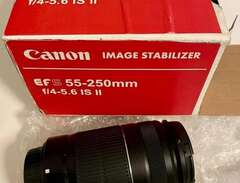 Canon EF-S 55-250/4,0-5,6 I...