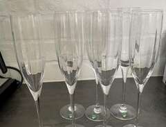 Orrefors Optica champagneglas