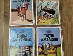 Tintin plåttavlor
