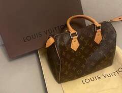 Louis Vuitton speedy