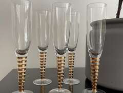 Boda Nova champagne glas