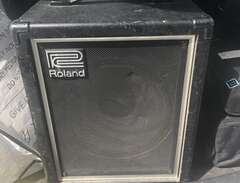 Roland cube 60 bass