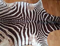 zebra matta