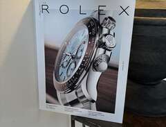 Rolex daytona katalog