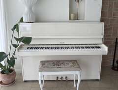 Hellas Piano vit