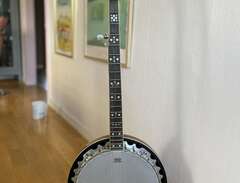 Banjo Fender 5-strängad