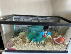 akvarium/hamsterbur