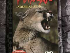 Puma - Amerikas Lejon - Nat...