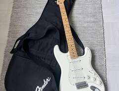 Fender Stratocaster (Mexico...