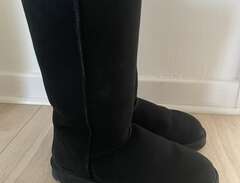 Ugg Classic Tall Boot (st 40)
