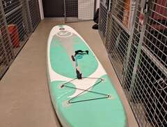 SUP / Stand up paddleboard