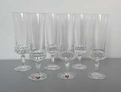 6x Champagneglas Silvia Orr...
