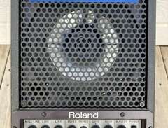 Roland cube monitor cm-30